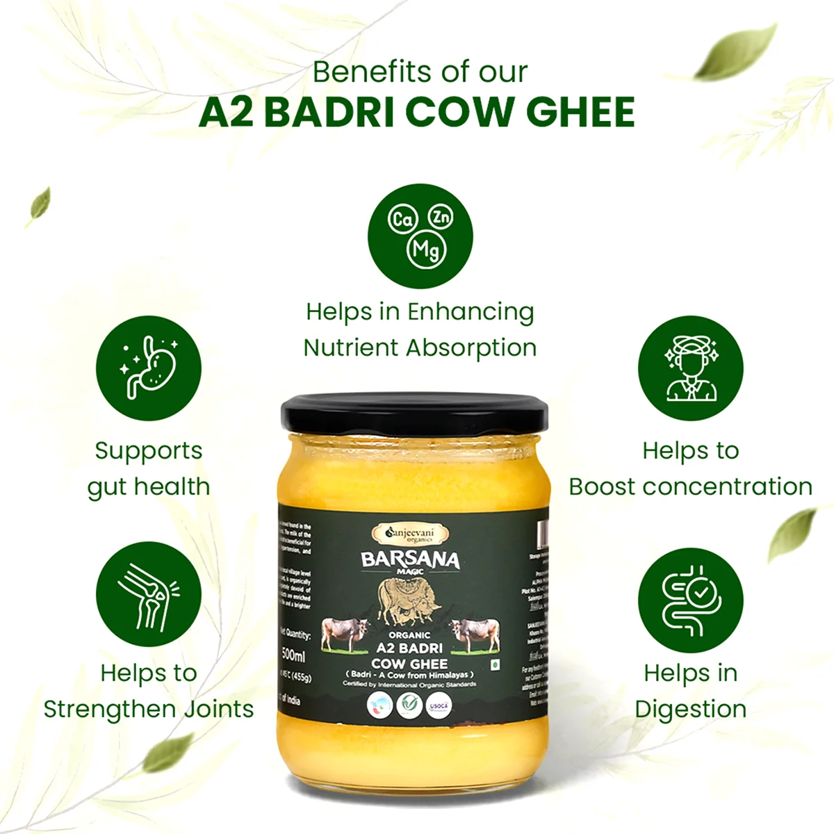 a2 badri cow ghee-Sanjeevani Organics