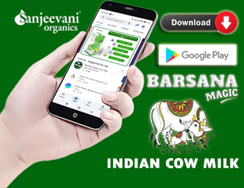 sanjeevani agrofoods and barsana magic dairy