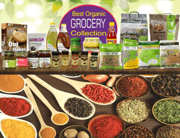 sanjeevani agrofoods and sanjeevani barsana magic dairy products