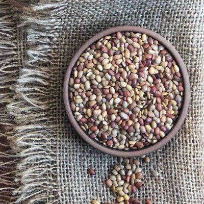 Sanjeevani Organics > Organics Pulses in Dehradun